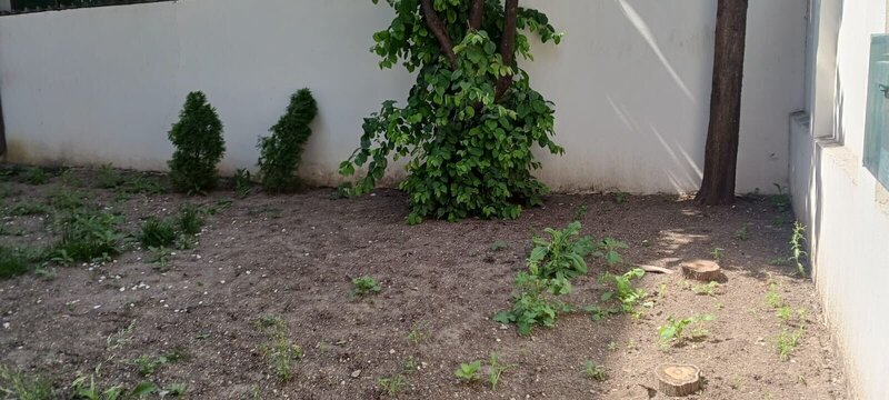 Parc Carol  vanzare vila